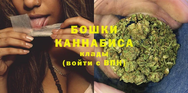 гашик Белокуриха