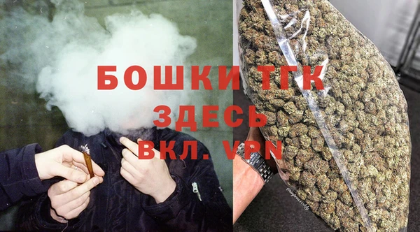 гашик Белокуриха