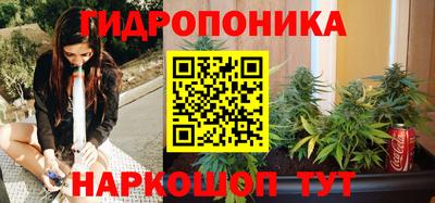 индика Пенза