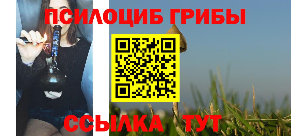 Псилоцибиновые грибы Psilocybine cubensis Гай