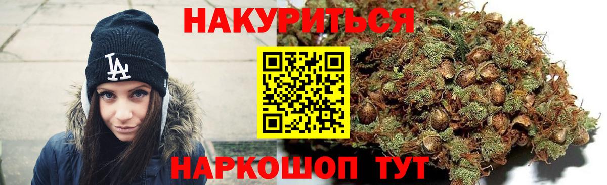 Конопля сатива  Бошки Шишки планчик  Гай  Марихуана план  Вход с VPN 